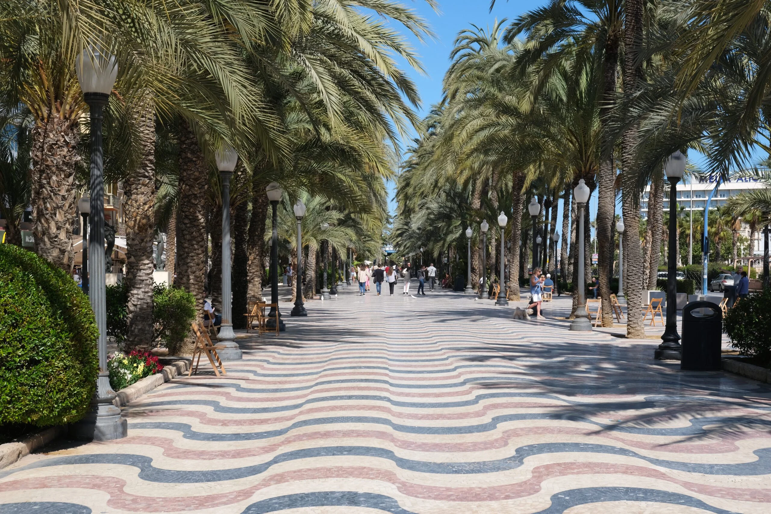 Qué ver en Alicante y provincia Paseo de la Explanada de España