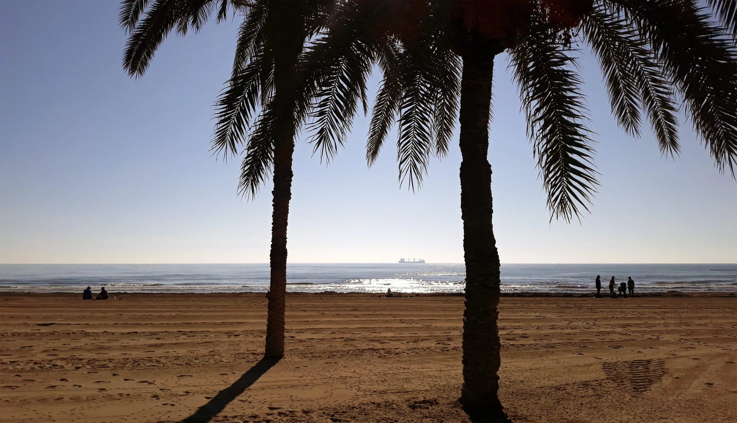 Playa del Postiguet en Alicante con palmeras en primer plano
