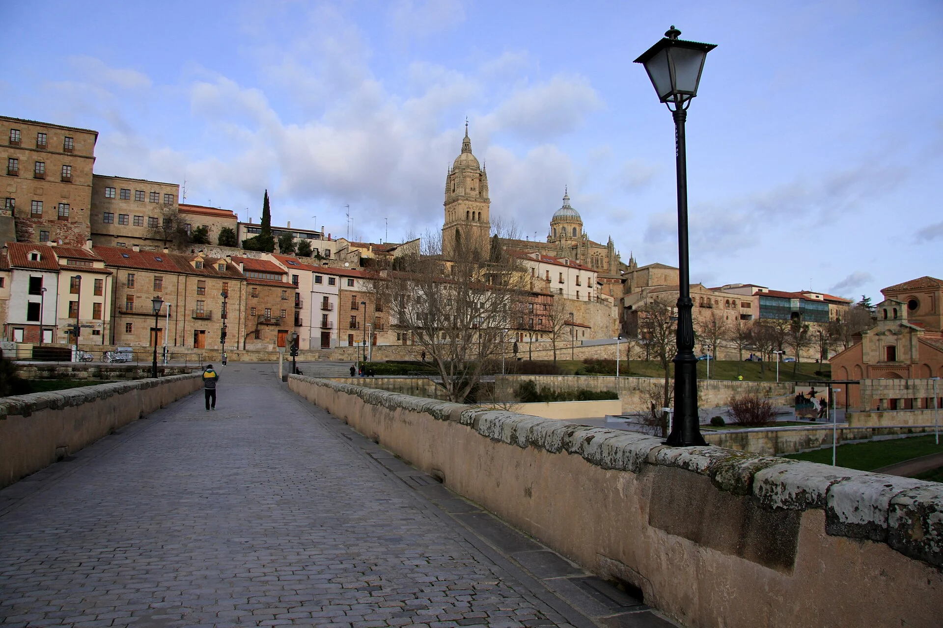 Puente romano de Salamanca con la ciudad al fondo