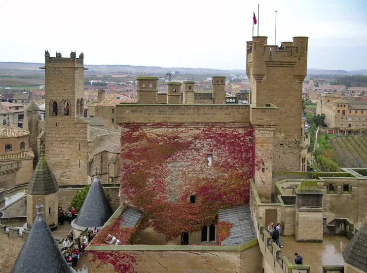 Lee más sobre el artículo Qué ver en Olite: Palacio Real, calles medievales, vino y ruta fácil