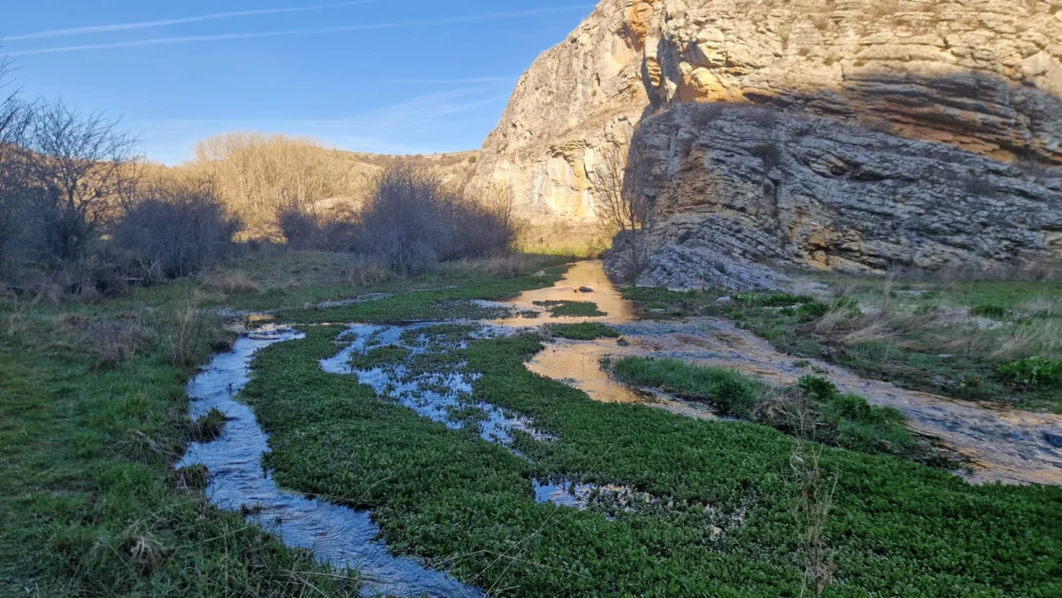 Ruta del Río Talegones