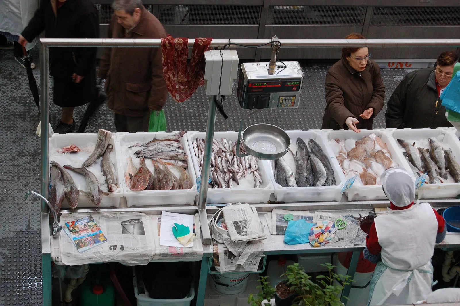 Puesto de pescado en el Mercado de Abastos de Pontevedra
